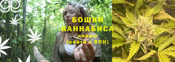 дживик Богданович