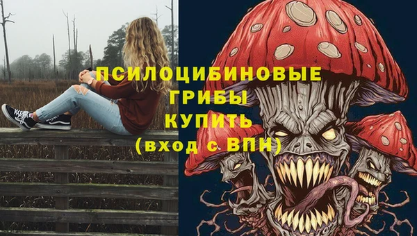 дживик Богданович