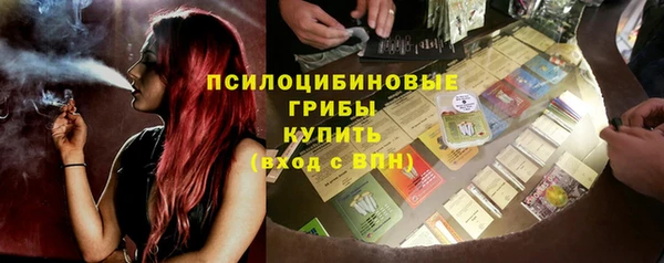 прущий лед Богородск