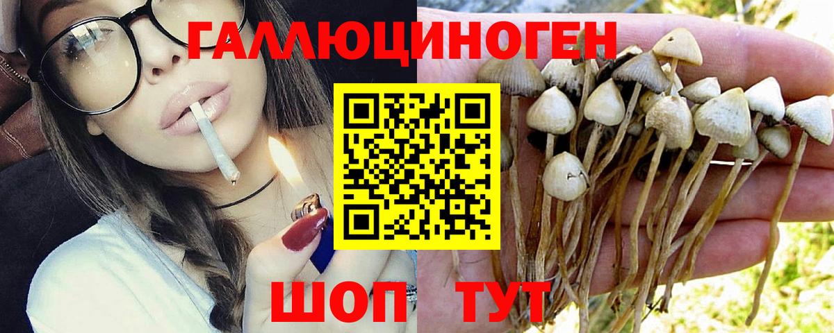 Псилоцибиновые грибы MAGIC MUSHROOMS  Вход с VPN  Надым 